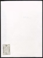 Anteprima