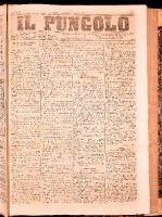 NA0079-Il_pungolo_giornale_politico-1870-08-07-0001.tif.jpg