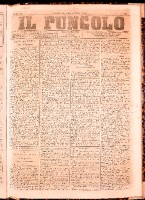 NA0079-Il_pungolo_giornale_politico-1870-06-08-0001.tif.jpg