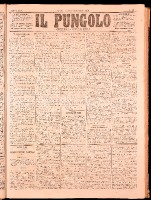 NA0079-Il_pungolo_giornale_politico-1872-01-22-0001.tif.jpg