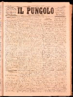 NA0079-Il_pungolo_giornale_politico-1872-01-24-0001.tif.jpg