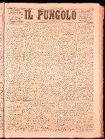 NA0079-Il_pungolo_giornale_politico-1872-01-28-0001.tif.jpg
