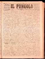 NA0079-Il_pungolo_giornale_politico-1872-02-13-0001.tif.jpg