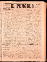 NA0079-Il_pungolo_giornale_politico-1872-02-10-0001.tif.jpg