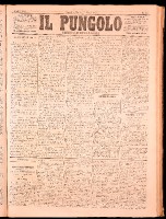 NA0079-Il_pungolo_giornale_politico-1872-03-05-0001.tif.jpg