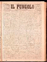 NA0079-Il_pungolo_giornale_politico-1872-02-22-0001.tif.jpg
