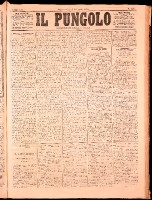 NA0079-Il_pungolo_giornale_politico-1872-04-18-0001.tif.jpg