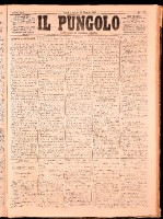 NA0079-Il_pungolo_giornale_politico-1872-05-11-0001.tif.jpg