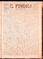 NA0079-Il_pungolo_giornale_politico-1872-06-01-0001.tif.jpg