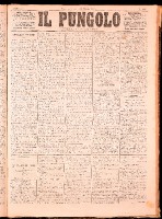 NA0079-Il_pungolo_giornale_politico-1872-05-24-0001.tif.jpg