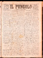 NA0079-Il_pungolo_giornale_politico-1872-06-04-0001.tif.jpg