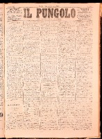 NA0079-Il_pungolo_giornale_politico-1872-06-08-0001.tif.jpg