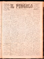 NA0079-Il_pungolo_giornale_politico-1872-05-28-0001.tif.jpg