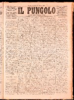 NA0079-Il_pungolo_giornale_politico-1872-06-12-0001.tif.jpg