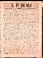 NA0079-Il_pungolo_giornale_politico-1872-06-16-0001.tif.jpg