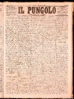 NA0079-Il_pungolo_giornale_politico-1872-06-23-0001.tif.jpg