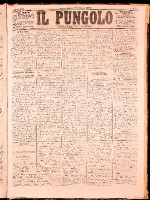 NA0079-Il_pungolo_giornale_politico-1872-06-25-0001.tif.jpg
