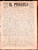NA0079-Il_pungolo_giornale_politico-1872-06-28-0001.tif.jpg