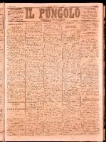 NA0079-Il_pungolo_giornale_politico-1873-01-10-0001.tif.jpg