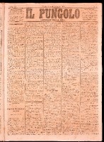 NA0079-Il_pungolo_giornale_politico-1873-01-02-0001.tif.jpg