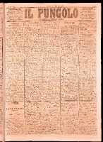 NA0079-Il_pungolo_giornale_politico-1873-01-05-0001.tif.jpg