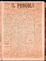 NA0079-Il_pungolo_giornale_politico-1873-01-25-0001.tif.jpg