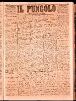 NA0079-Il_pungolo_giornale_politico-1873-01-23-0001.tif.jpg