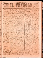 NA0079-Il_pungolo_giornale_politico-1873-02-07-0001.tif.jpg