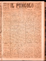 NA0079-Il_pungolo_giornale_politico-1873-03-03-0001.tif.jpg