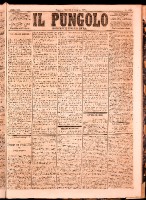 NA0079-Il_pungolo_giornale_politico-1873-06-05-0001.tif.jpg