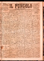 NA0079-Il_pungolo_giornale_politico-1873-06-03-0001.tif.jpg