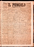 NA0079-Il_pungolo_giornale_politico-1873-06-13-0001.tif.jpg