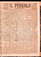NA0079-Il_pungolo_giornale_politico-1873-06-17-0001.tif.jpg