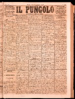 NA0079-Il_pungolo_giornale_politico-1873-07-20-0001.tif.jpg