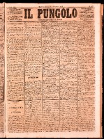 NA0079-Il_pungolo_giornale_politico-1873-11-13-0001.tif.jpg
