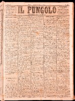 NA0079-Il_pungolo_giornale_politico-1874-01-19-0001.tif.jpg