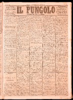 NA0079-Il_pungolo_giornale_politico-1874-01-14-0001.tif.jpg