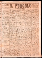 NA0079-Il_pungolo_giornale_politico-1874-01-11-0001.tif.jpg