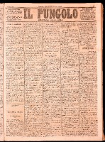 NA0079-Il_pungolo_giornale_politico-1874-01-29-0001.tif.jpg