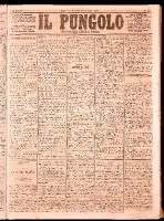 NA0079-Il_pungolo_giornale_politico-1874-01-23-0001.tif.jpg