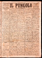 NA0079-Il_pungolo_giornale_politico-1874-01-04-0001.tif.jpg