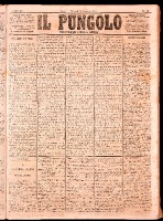 NA0079-Il_pungolo_giornale_politico-1874-01-20-0001.tif.jpg