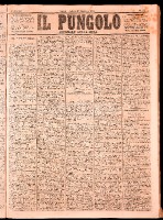 NA0079-Il_pungolo_giornale_politico-1874-01-31-0001.tif.jpg