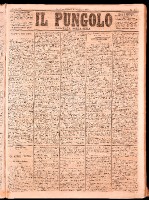 NA0079-Il_pungolo_giornale_politico-1874-01-15-0001.tif.jpg