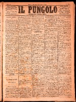 NA0079-Il_pungolo_giornale_politico-1874-02-18-0001.tif.jpg