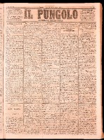 NA0079-Il_pungolo_giornale_politico-1874-01-26-0001.tif.jpg