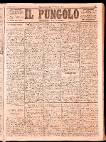 NA0079-Il_pungolo_giornale_politico-1874-01-28-0001.tif.jpg