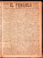 NA0079-Il_pungolo_giornale_politico-1874-03-28-0001.tif.jpg