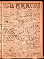 NA0079-Il_pungolo_giornale_politico-1874-03-24-0001.tif.jpg