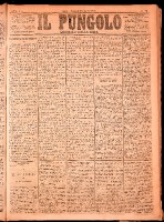 NA0079-Il_pungolo_giornale_politico-1874-03-13-0001.tif.jpg